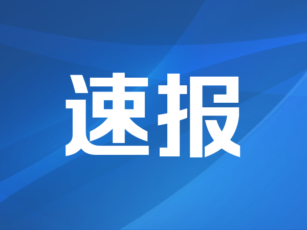 证券业上演极致马太效应，形成三层稳态格局