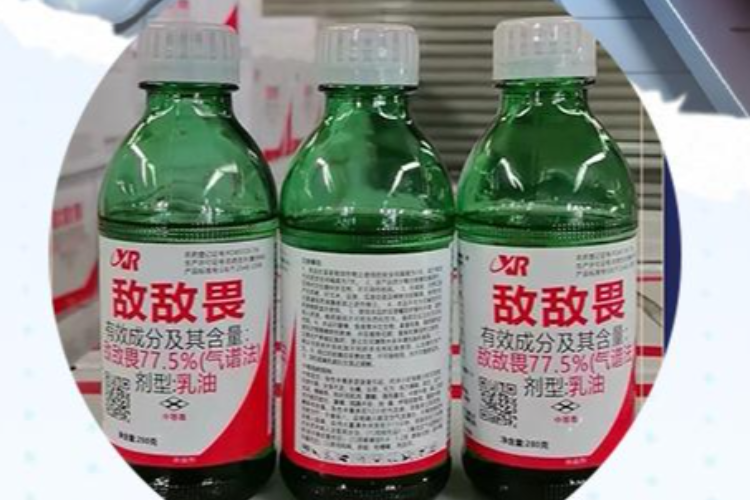 敌敌畏餐厅消杀事件应成为行业管理革新契机
