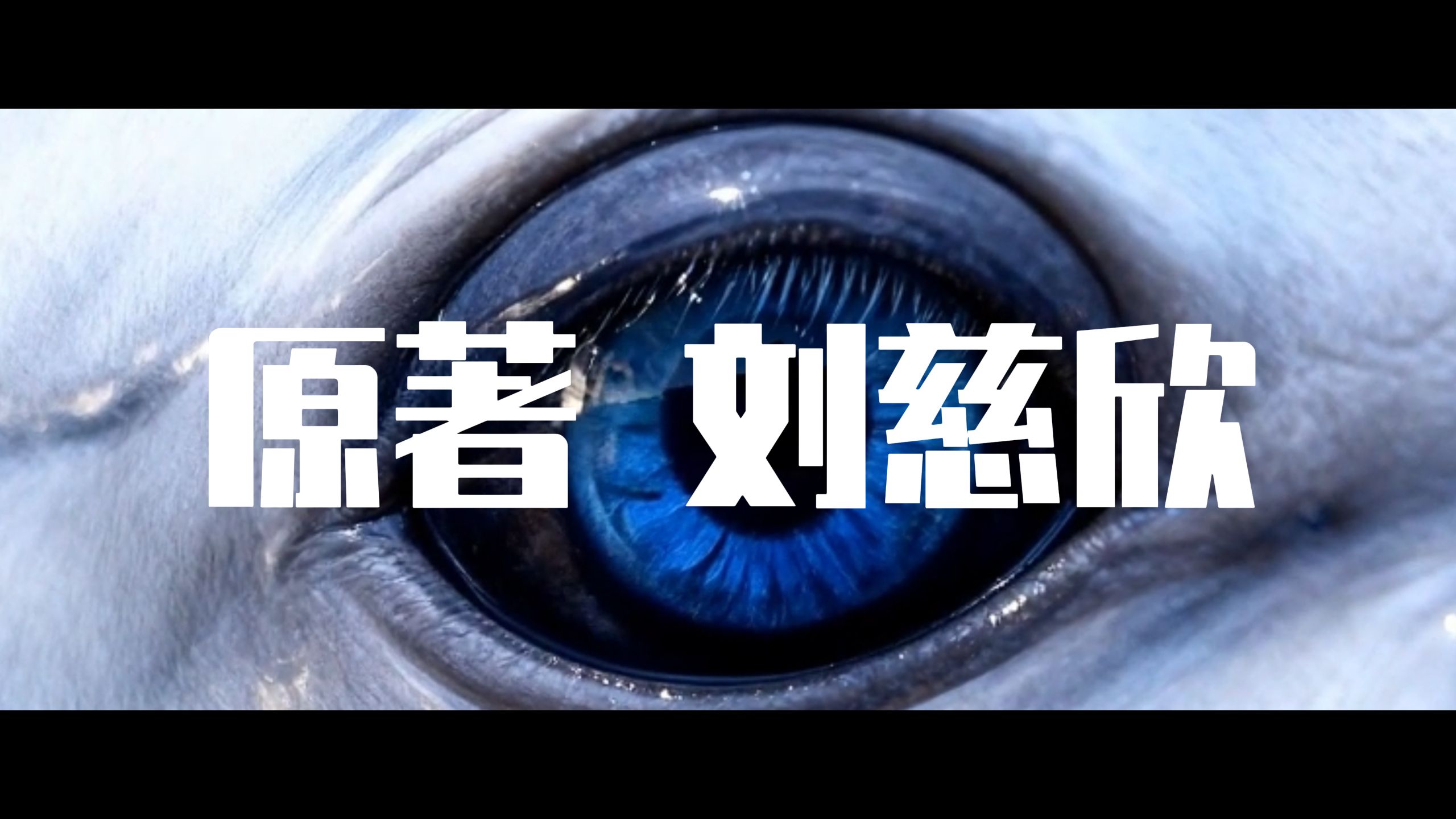 一个人，耗时18个月，2万元成本，手搓94分钟以刘慈欣小说《山》为故事原型的AI仿真人科幻电影