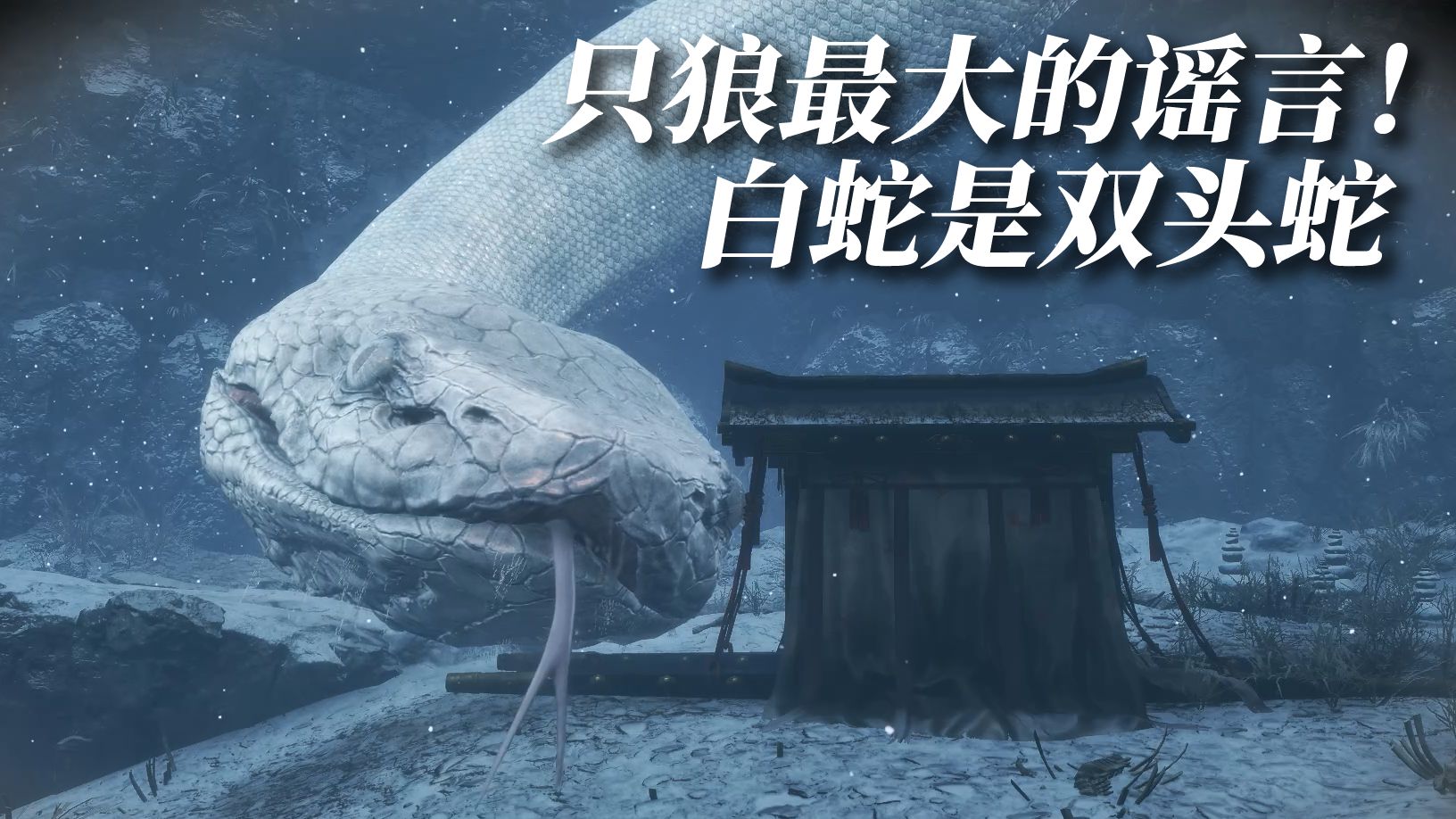 [只狼深扒]白蛇真的是双头蛇吗？答案可能超乎你的想象！