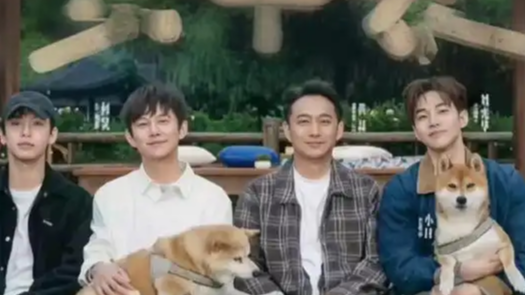 黄磊回应做饭不好吃