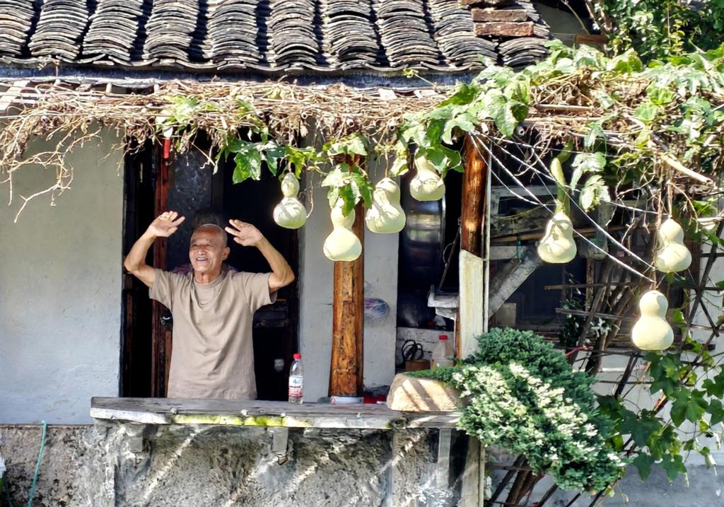 剪下网红葫芦之后