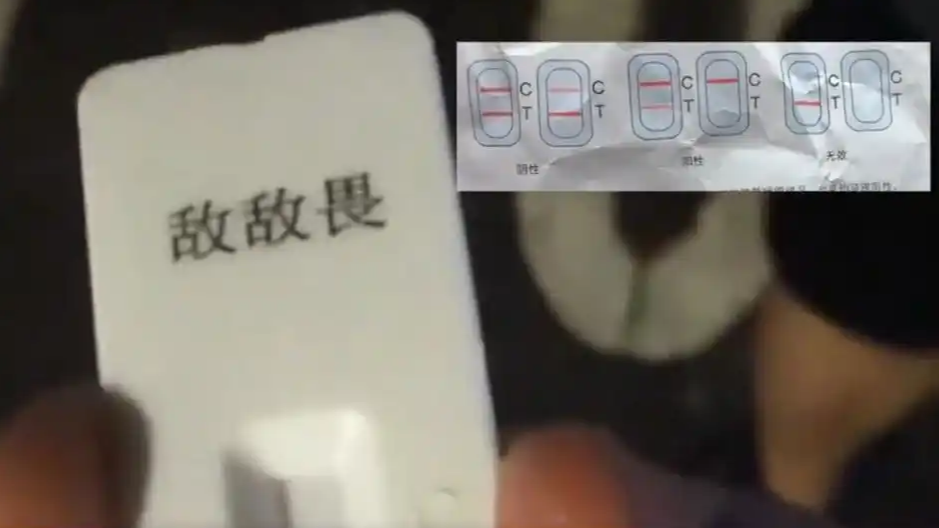 连锁餐厅 敌敌畏消杀