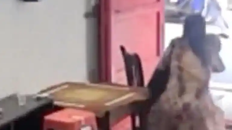 官方确认帮扶老人遭索赔店主不担责