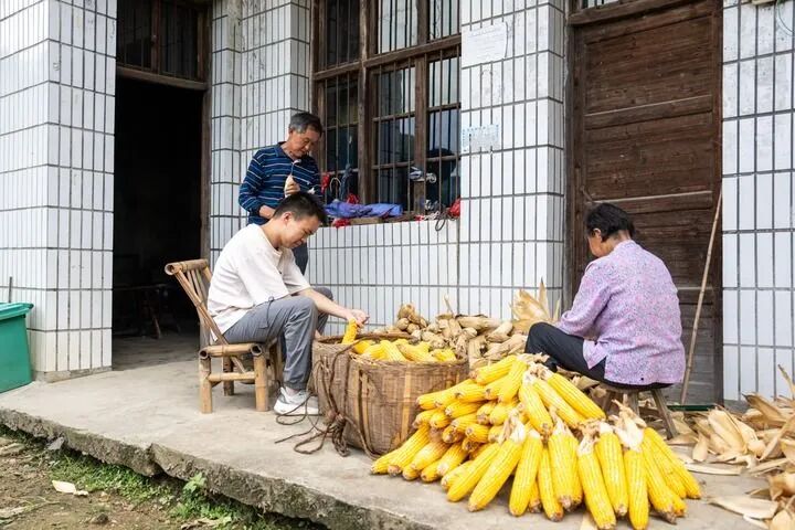 “8个鸡蛋”少年上大学前当了老师