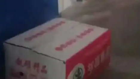 山东多名学生转校区后头晕流鼻血