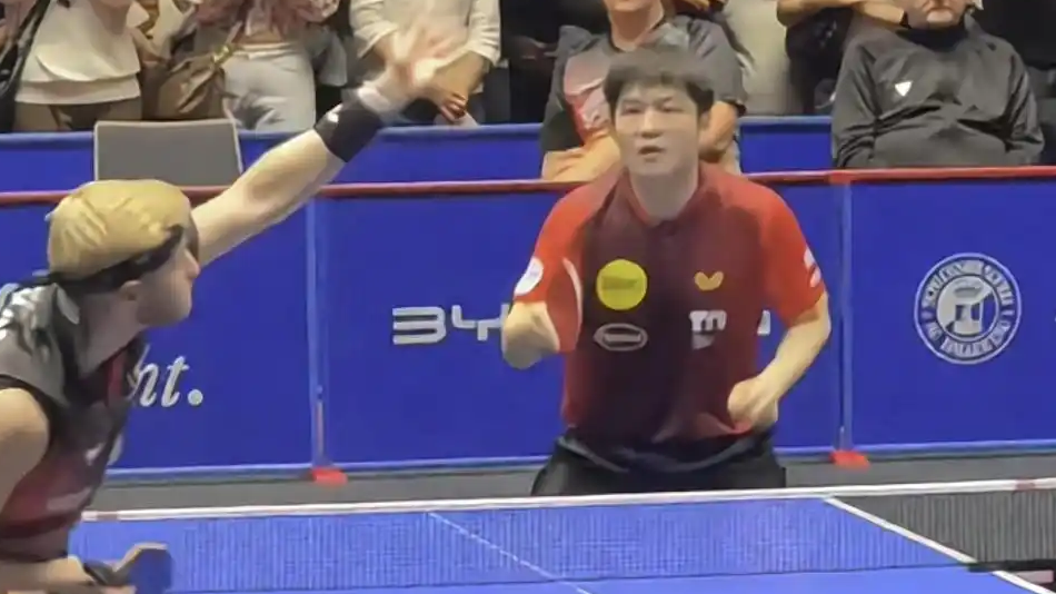 樊振东再次一单两分
