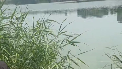 10岁男孩轻生溺亡 老师被刑拘