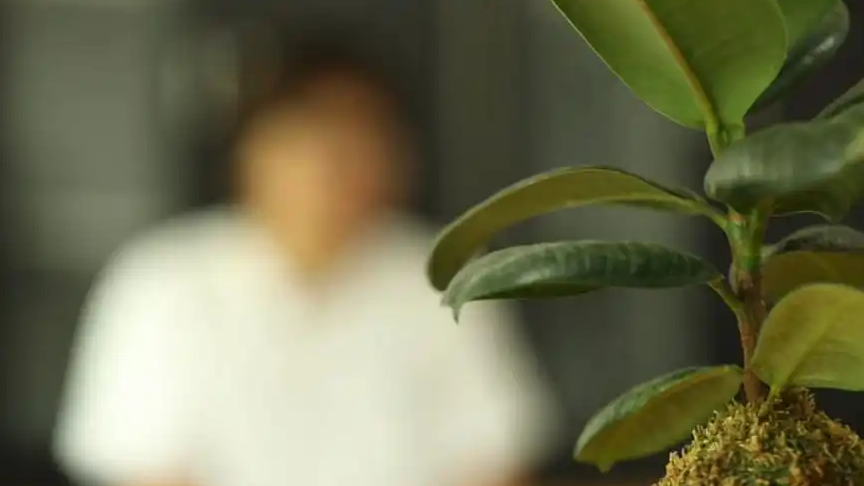 一次“时髦”尝试 换来生活不能自理