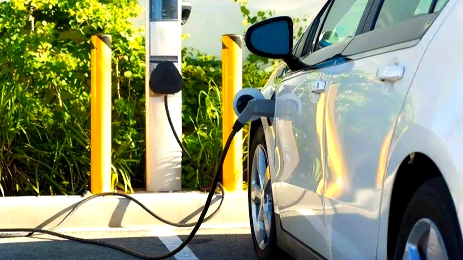 8月汽车销量前十已无燃油车