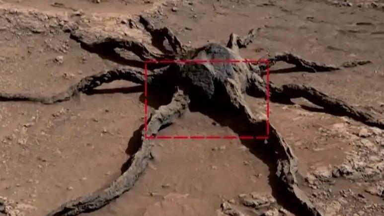 火星惊现“蜘蛛状岩层”？假的