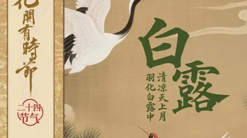 白露到了记得添衣保暖