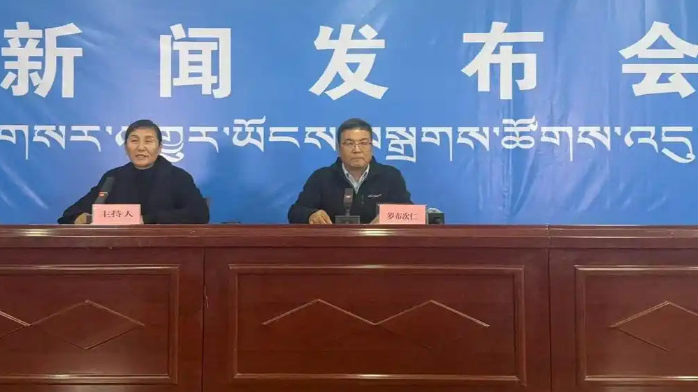 西藏吉隆泥石流成功救出2人