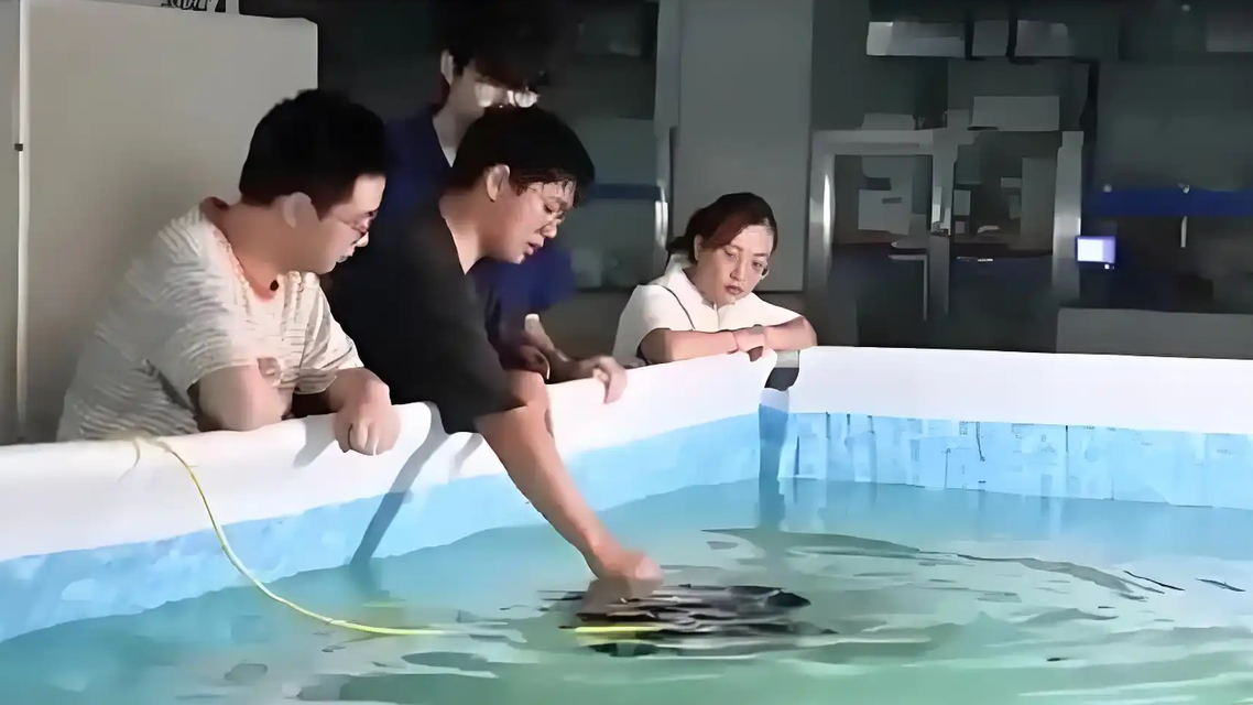 大学专业迎来一轮“上新”