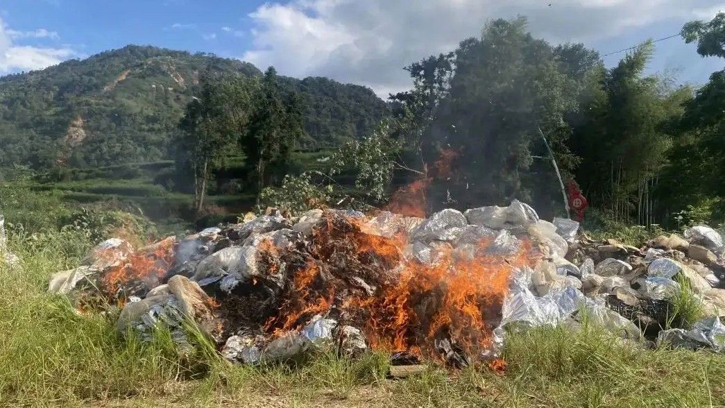 福鼎市茶协回应销毁近10吨泡水茶