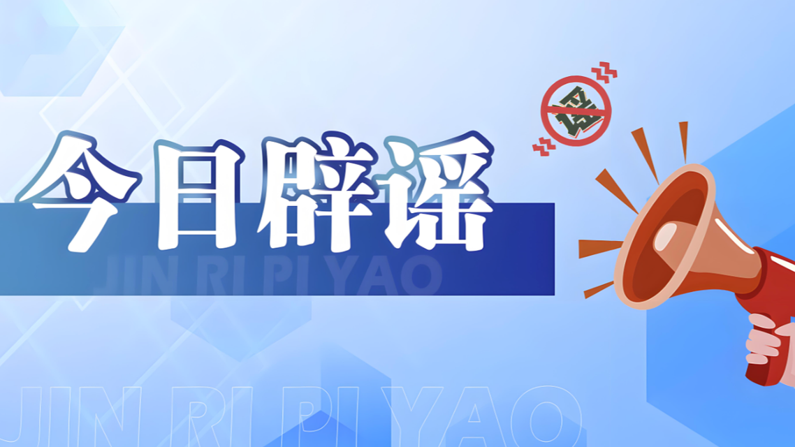 云南文山12级台风致人伤亡系谣言