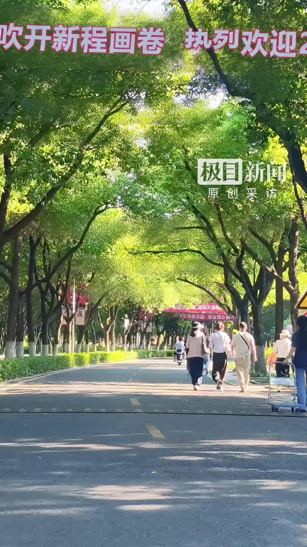 高校林荫道上五米一条迎新横幅
