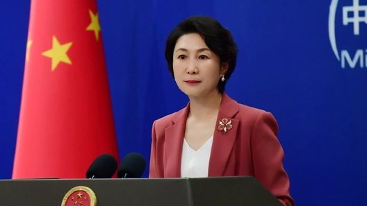 外交部：“敌国条款” 至今仍然有效