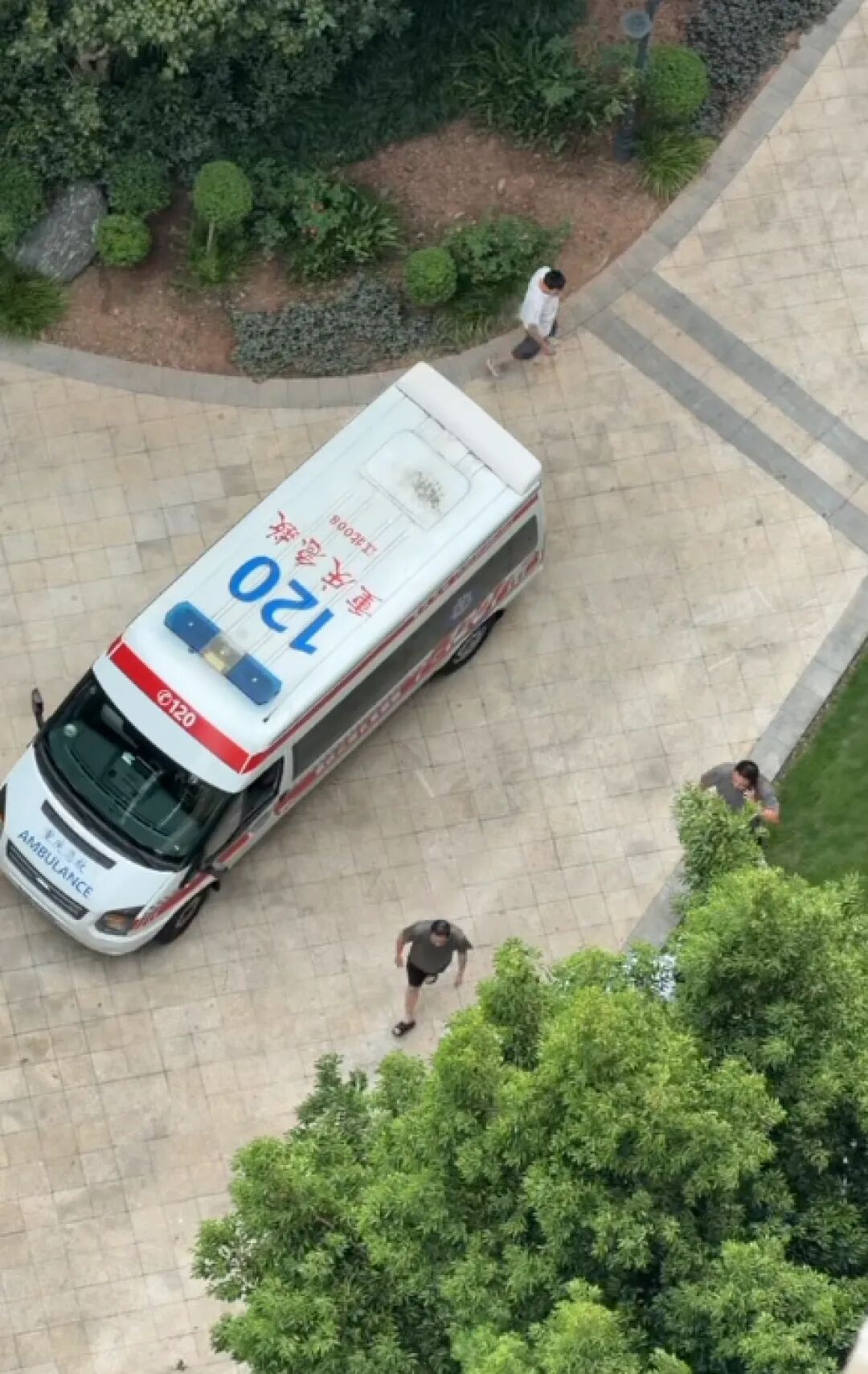 坠亡幼童父亲举报妻子侵犯肖像权