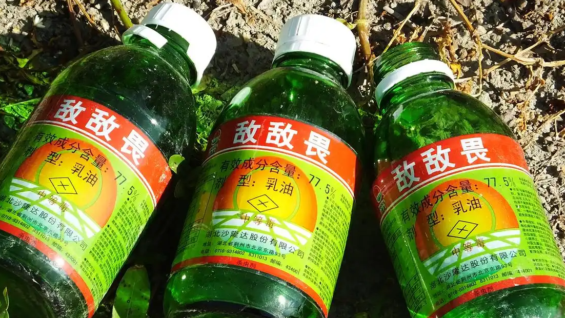 “我们消杀过的餐厅 打死也不会去”