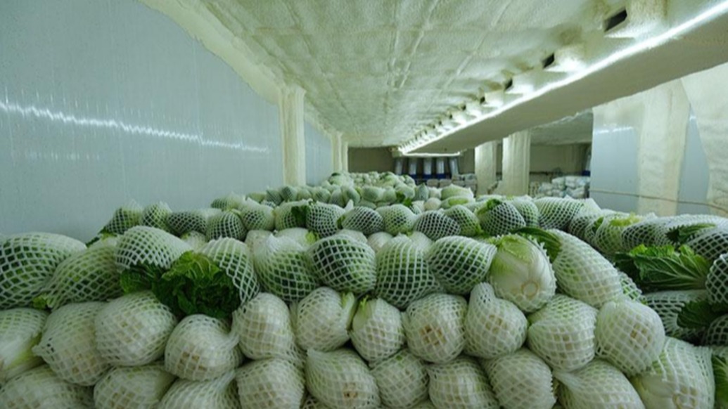 对话中物联冷链委专家：蔬菜冷链运输综合成本比常温高30%~50%，但损耗率极低