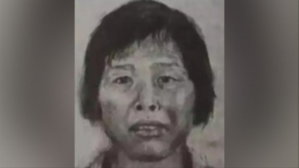 媒体：“梅姨”已被提起公诉