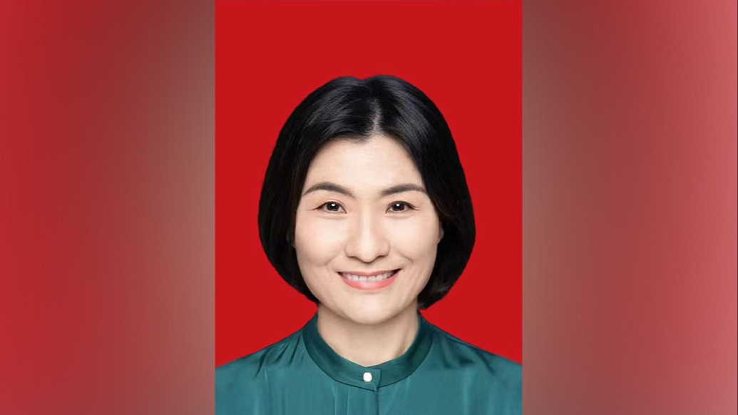 李慧已任上海浦东新区区委常委、副区长_浦江头条