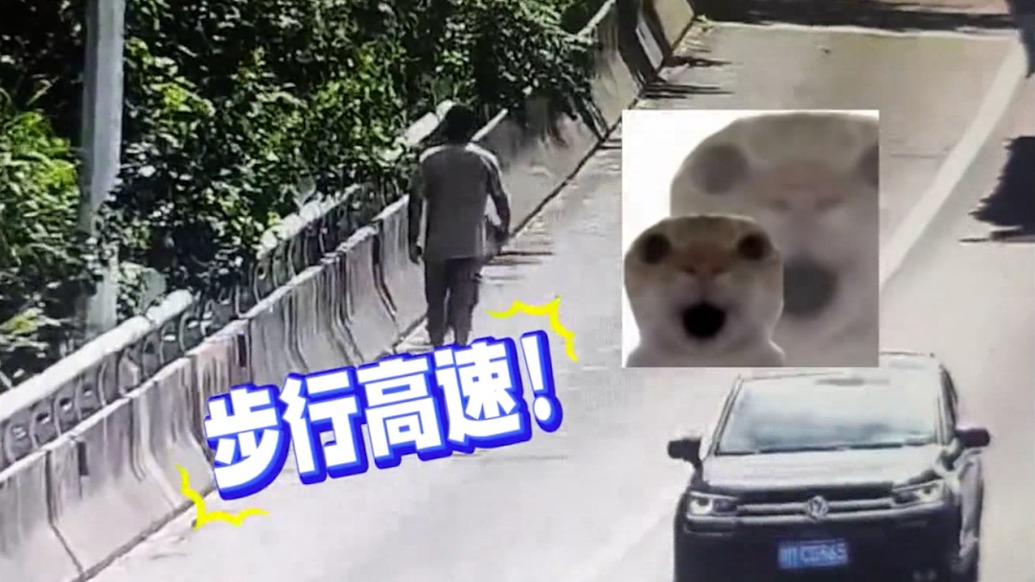 货车司机想步行上高速大桥观景被罚，民警一个暖心举动圆了他的拍照愿望