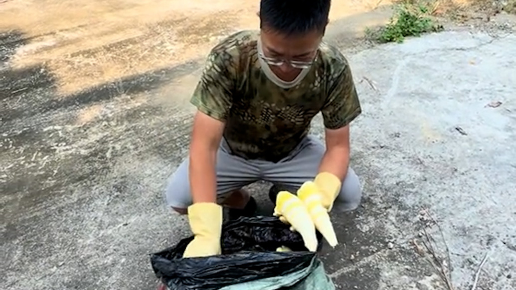 广东清远通报“硫磺熏笋”：已对违法加工原料及产品进行查封