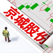 重组信息涉嫌虚假记载等，京城股份子公司被证监会立案