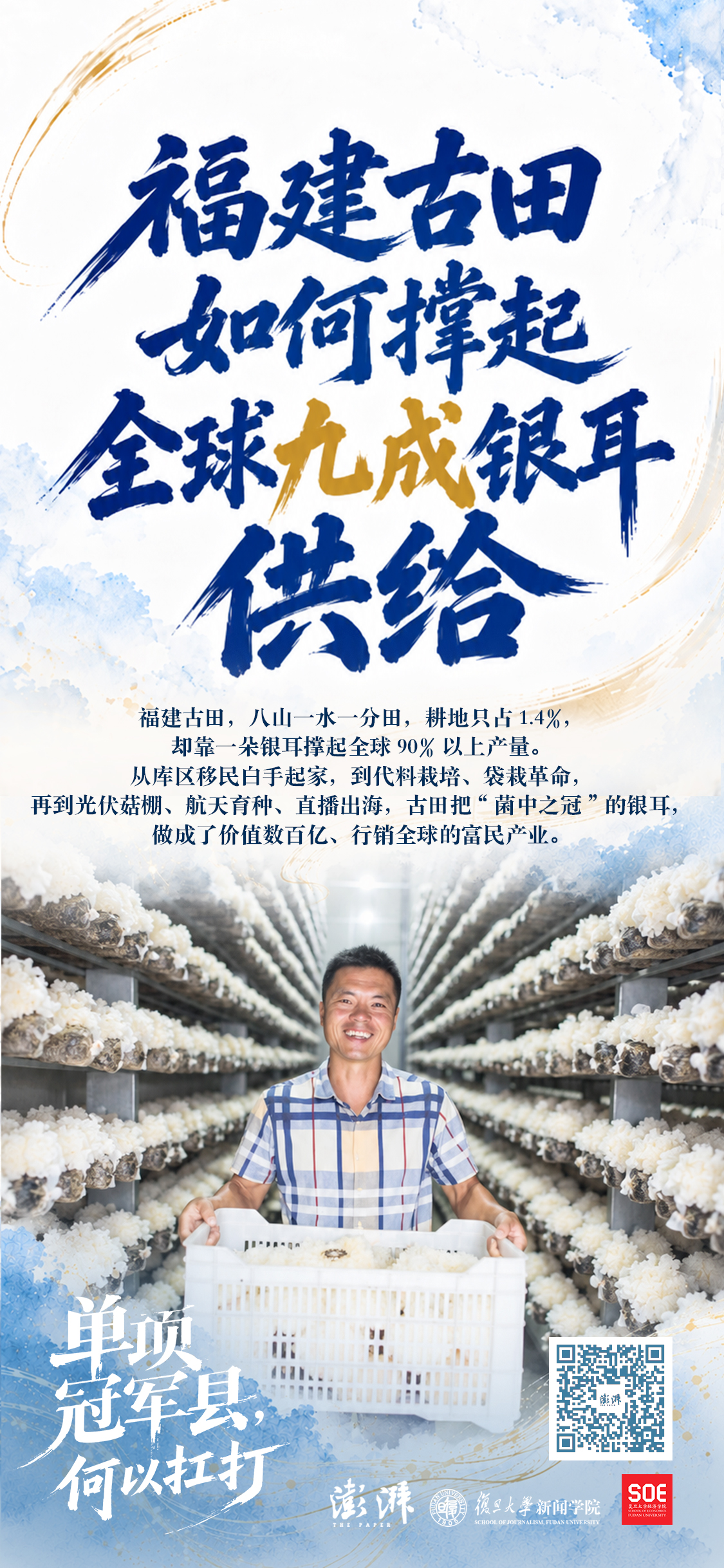 单项冠军县，何以扛打｜“菌都”福建古田：如何撑起全球九成银耳供给