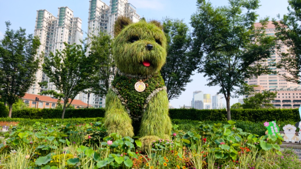 “潦草小狗”将换秋装，背后是园林人的大胆尝试