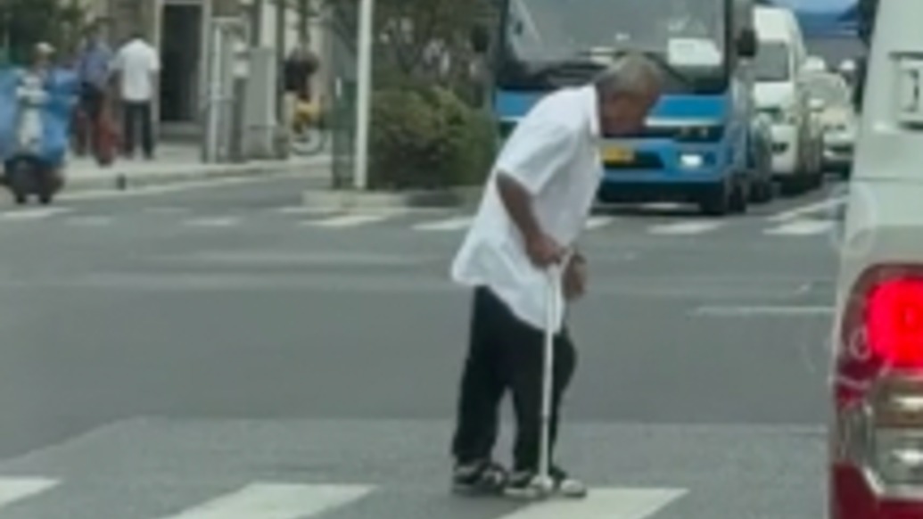 暖侬心｜绿灯亮了但他们都没走，上海街头多辆汽车停下礼让行动不便老人