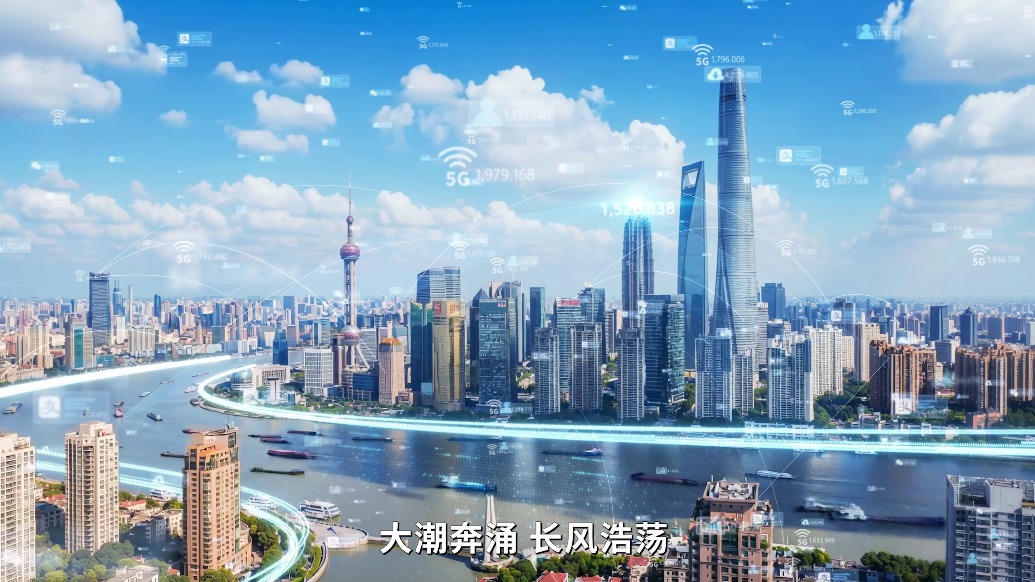 守护个人信息，上海交出超大城市治理五年答卷