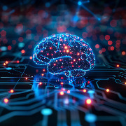 最新研究发现：人脑可视为两个独立的器官