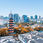 博士团解读宁波⑥｜商道即人道：从历史文脉读懂宁波人文经济