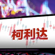 *ST利达：17亿元关联方资金占用未如实披露，公司被罚款900万元，实控人五年禁入市场