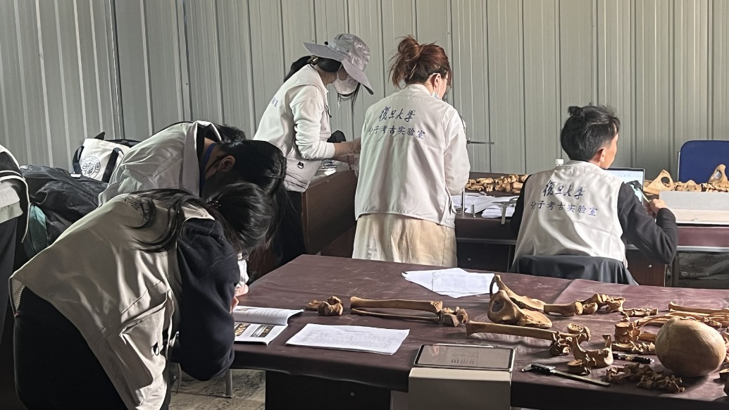 追光的你丨十余年为烈士寻亲：让遗骸“开口”，让忠魂有归