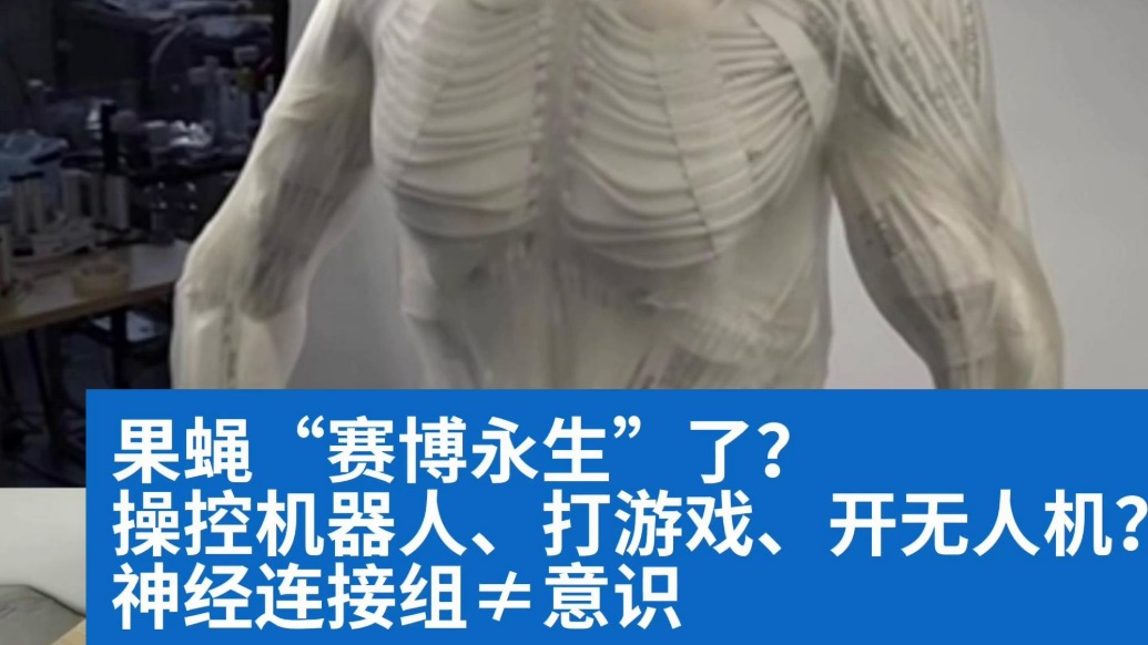 明查｜果蝇“赛博永生”了？且慢，神经连接组≠意识