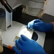 马上评｜“101名技校毕业生入职北大”的误解与新解