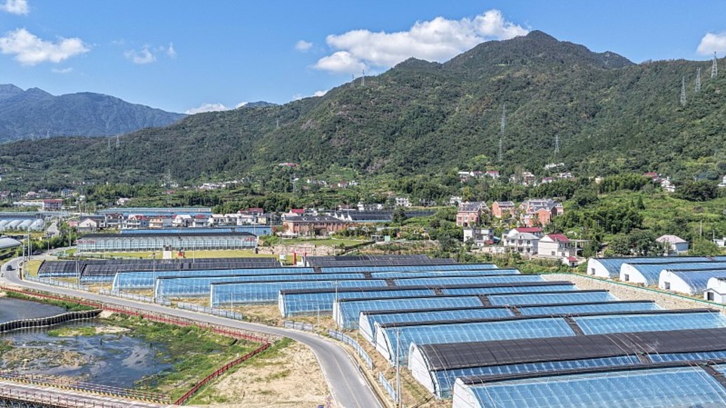 农业农村部：突出科技改革双轮驱动，加快推进农业农村现代化