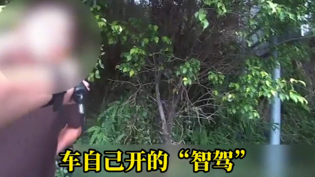 酒后开启辅助驾驶上路，司机被查出醉驾辩称：我没开，是车自己开的