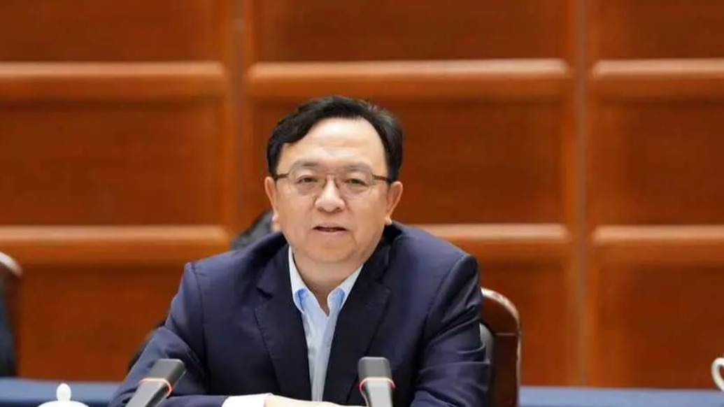 王传福被选为比亚迪董事会董事长