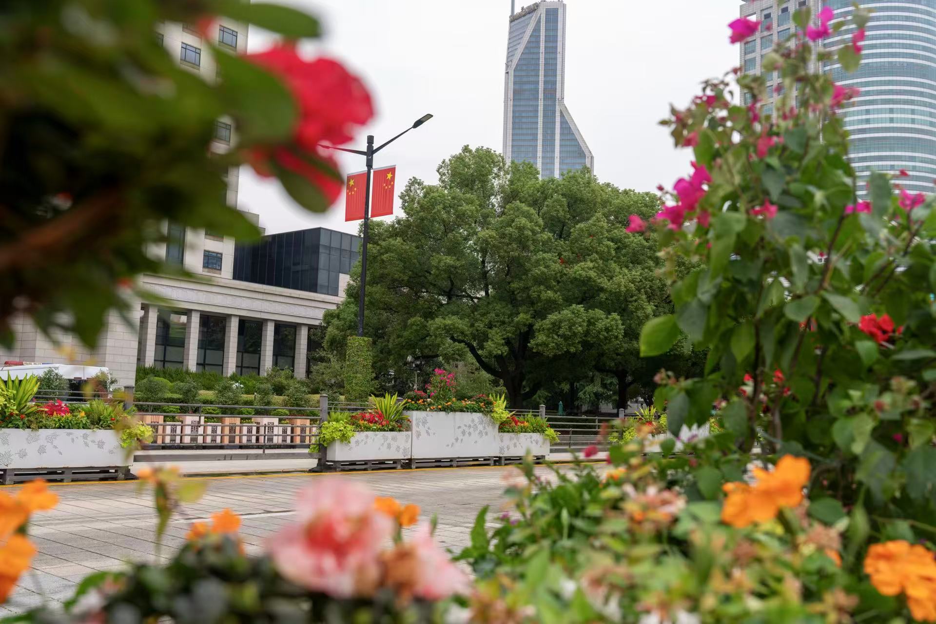 上海街头花景焕新迎国庆，全市景观照明开启重大活动模式