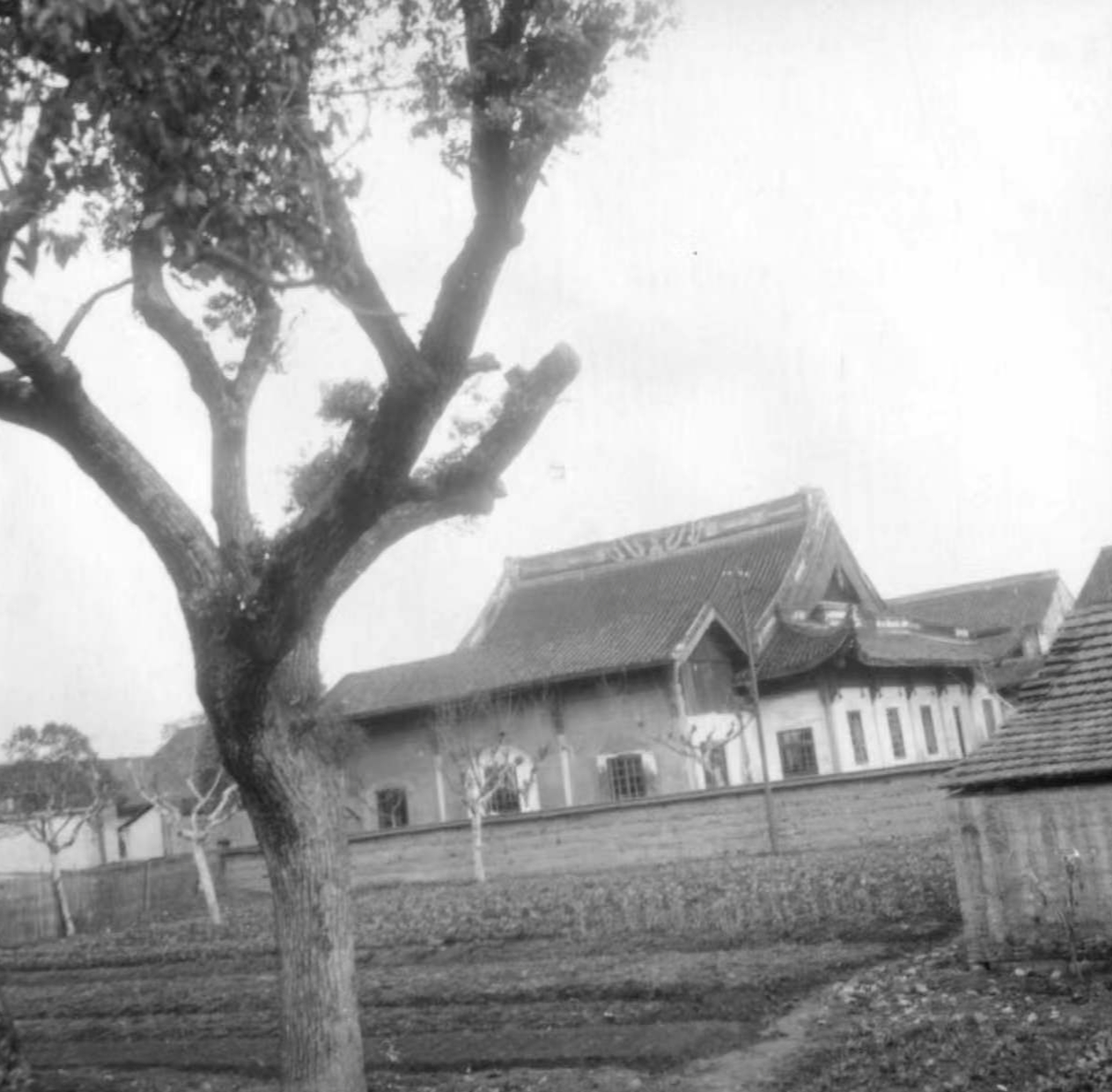 大学堂｜廖寿丰、林启与求是书院的创建