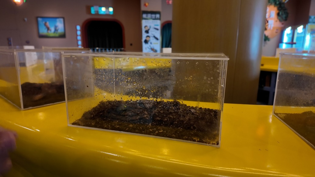 科普无从知晓、展品难辨物种，宁波鲸途海洋乐园多处标示牌缺位遭吐槽