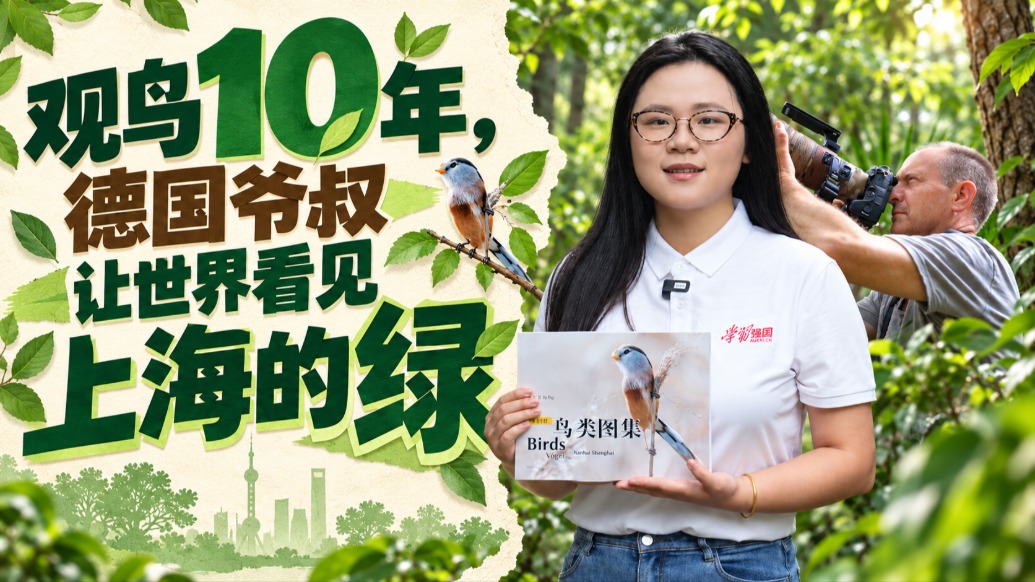 观鸟10年，德国爷叔让世界看见上海的绿