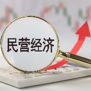 人民日报刊发金轩文章：支持民营企业在高质量发展中大显身手