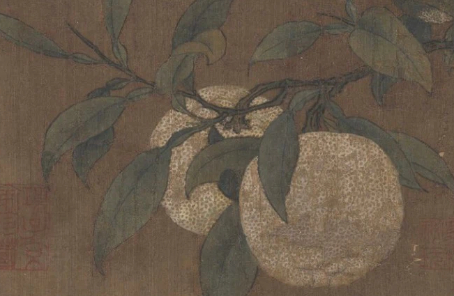诗画节气｜寒露之橘：吴姬三日手犹香