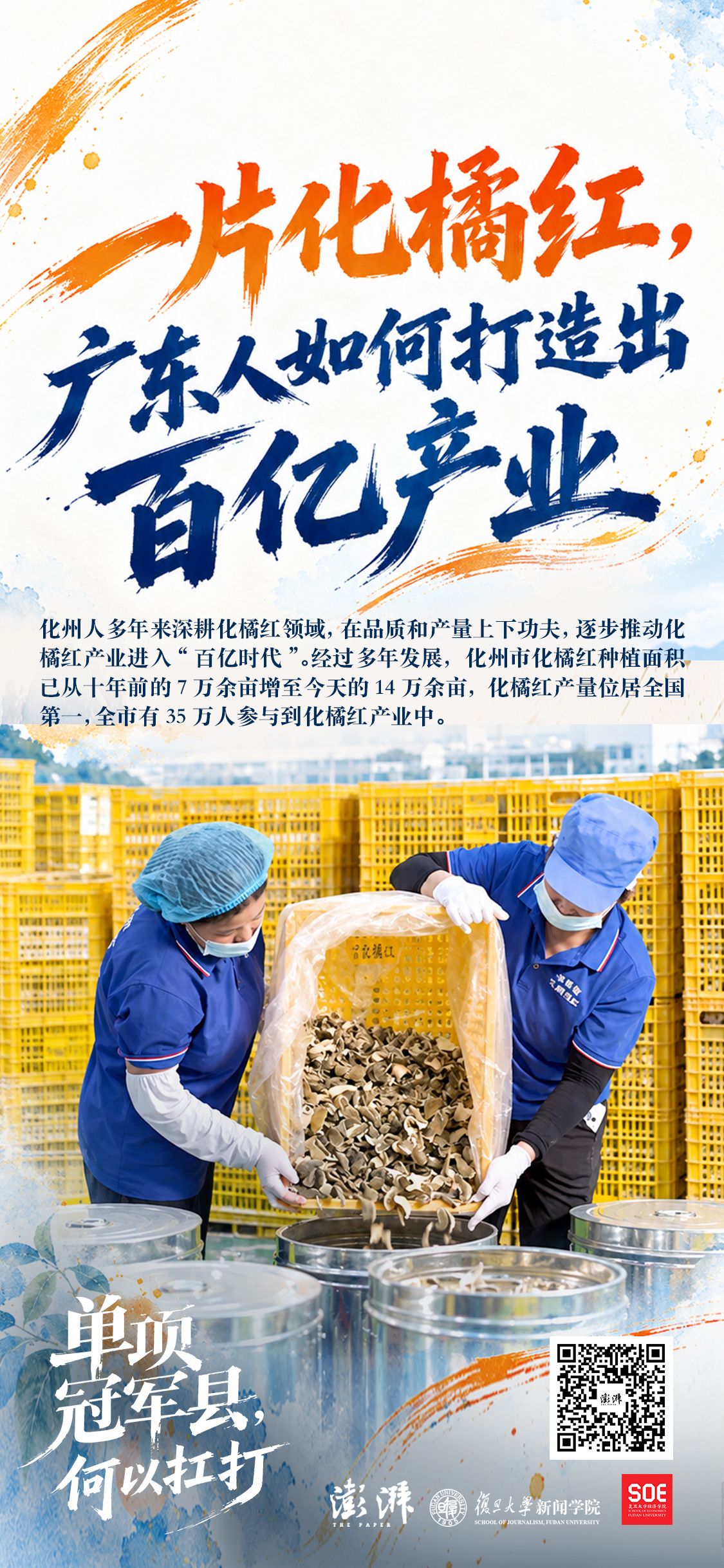 单项冠军县，何以扛打丨一片化橘红，广东人如何打造出百亿产业